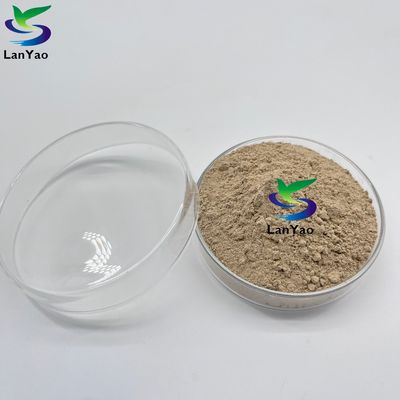 বায়বিক অ্যানেরোবিক অ্যান্টিবায়োটিক বায়বিক অ্যানেরোবিক ব্যাকটেরিয়া বর্জ্য জল চিকিত্সা ব্যাকটেরিয়া সংস্কৃতি