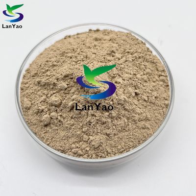 বায়ো ব্যাকটেরিয়া নাইট্রাইফাইং ব্যাকটেরিয়া কার্যকর বর্জ্য জল চিকিত্সা