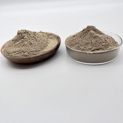 জৈব ব্যাকটেরিয়া জৈব দূষণকারীকে হ্রাস করে